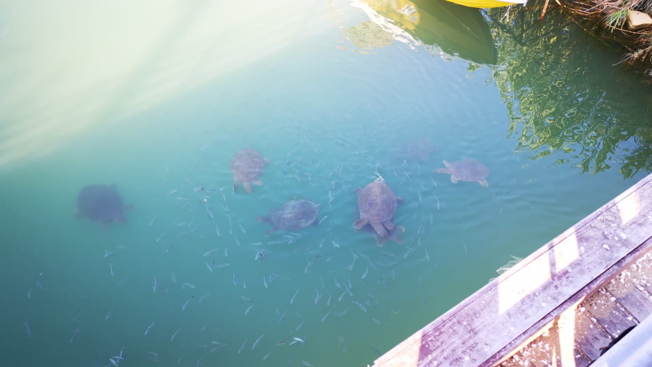 Sonstiges Grand Seker Hotel