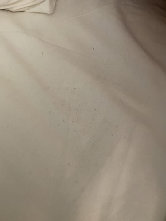 Zimmer Lopesan Costa Bávaro Resort, Spa & Casino