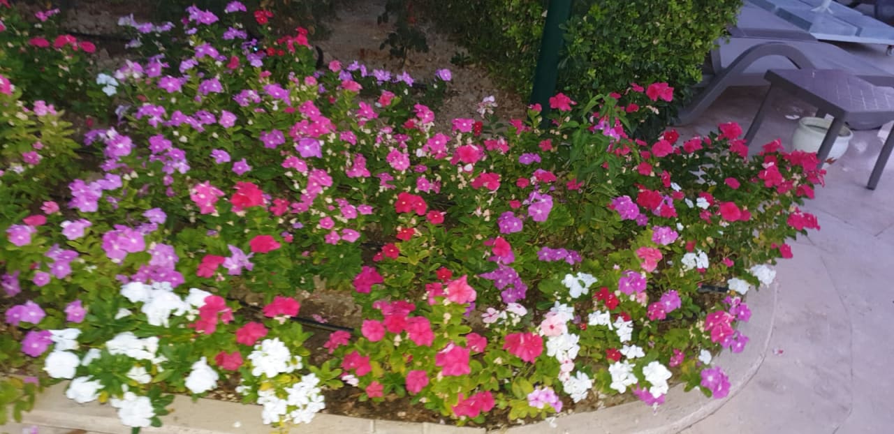 Gartenanlage VONRESORT Golden Coast