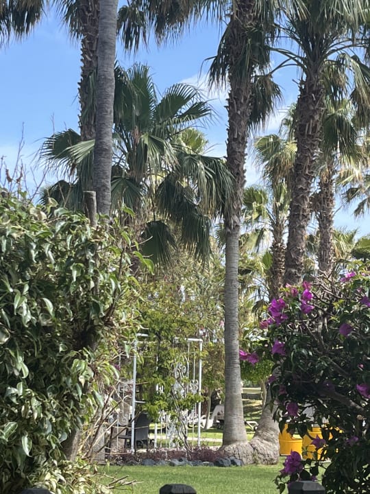 Gartenanlage VONRESORT Golden Coast