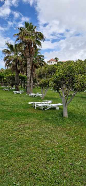 Gartenanlage Hotel Defne Dream