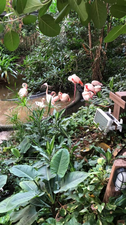 Gartenanlage Tropical Islands Resort