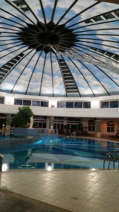 Nice  ROBINSON NOBILIS