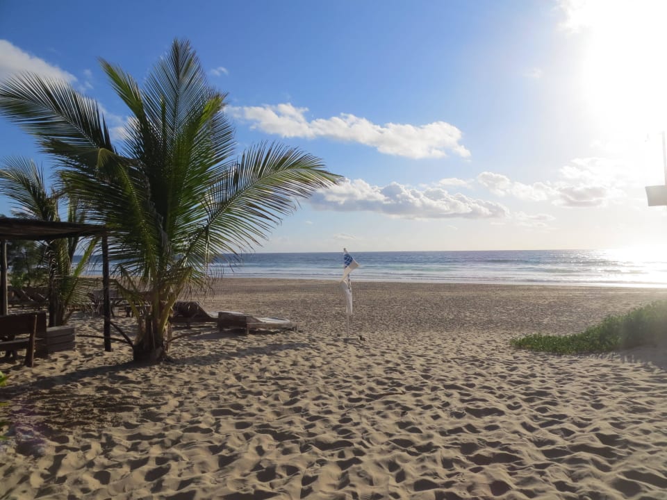 Vor der Tauchbasis/Hotel Corasiida Guest House