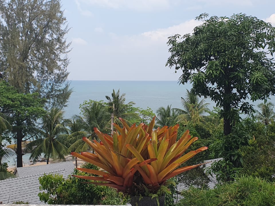 Ausblick Moracea by Khao Lak Resort