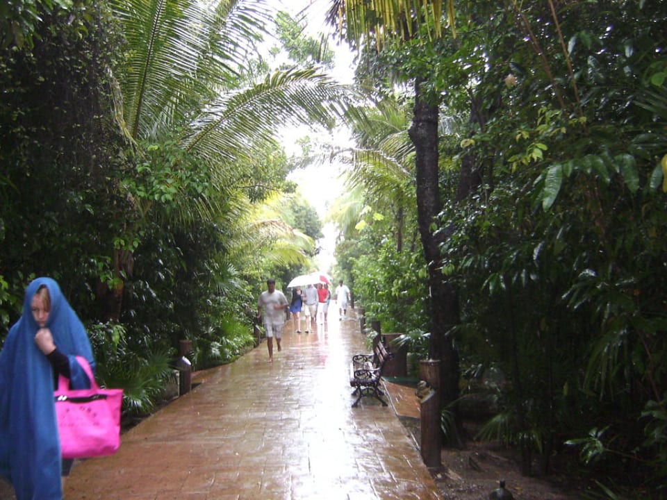 Regentag Catalonia Playa Maroma