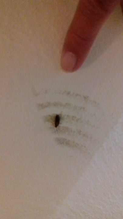 Zimmer Hotel Sands Beach Resort