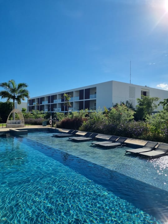 Pool Live Aqua Punta Cana - All Inclusive - Adults Only