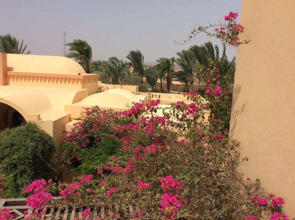 Gartenanlage Steigenberger Coraya Beach - Adults only