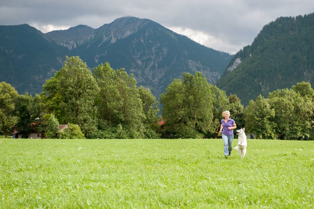 Sonstiges Hundesporthotel Wolf