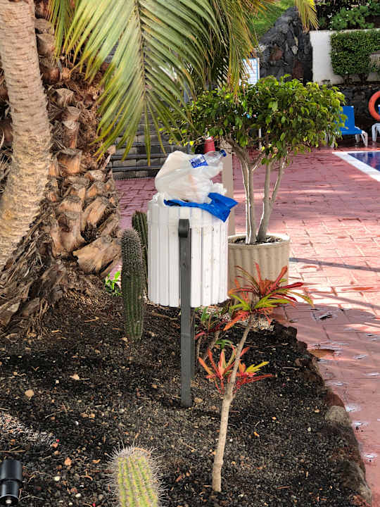 Gartenanlage BLUESEA Complejo Puerto Resort (Canarife y Bonanza Palace))