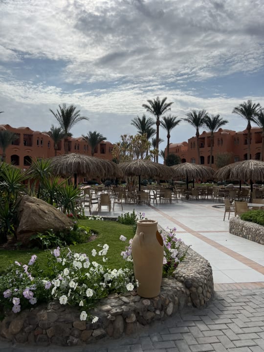 Gartenanlage Jaz Makadi Oasis Resort