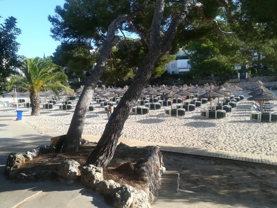 Strand Grupotel Rocador