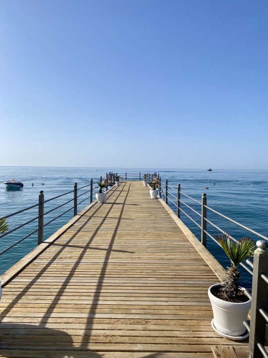Pool TUI BLUE Palm Garden