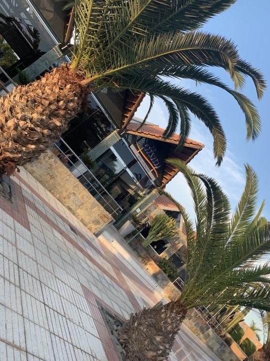 Außenansicht allsun Hotel Esplendido