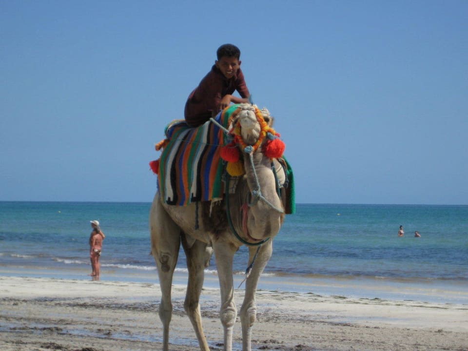 am Strand entlang zum Fotografieren Djerba Plaza Thalasso & Spa