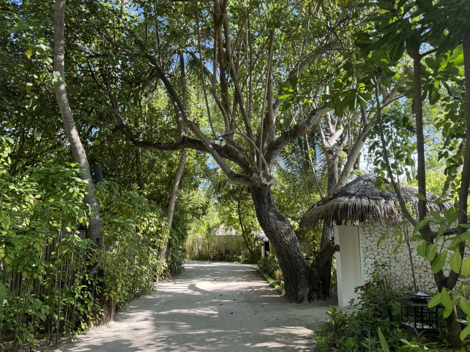 Gartenanlage Constance Halaveli Maldives