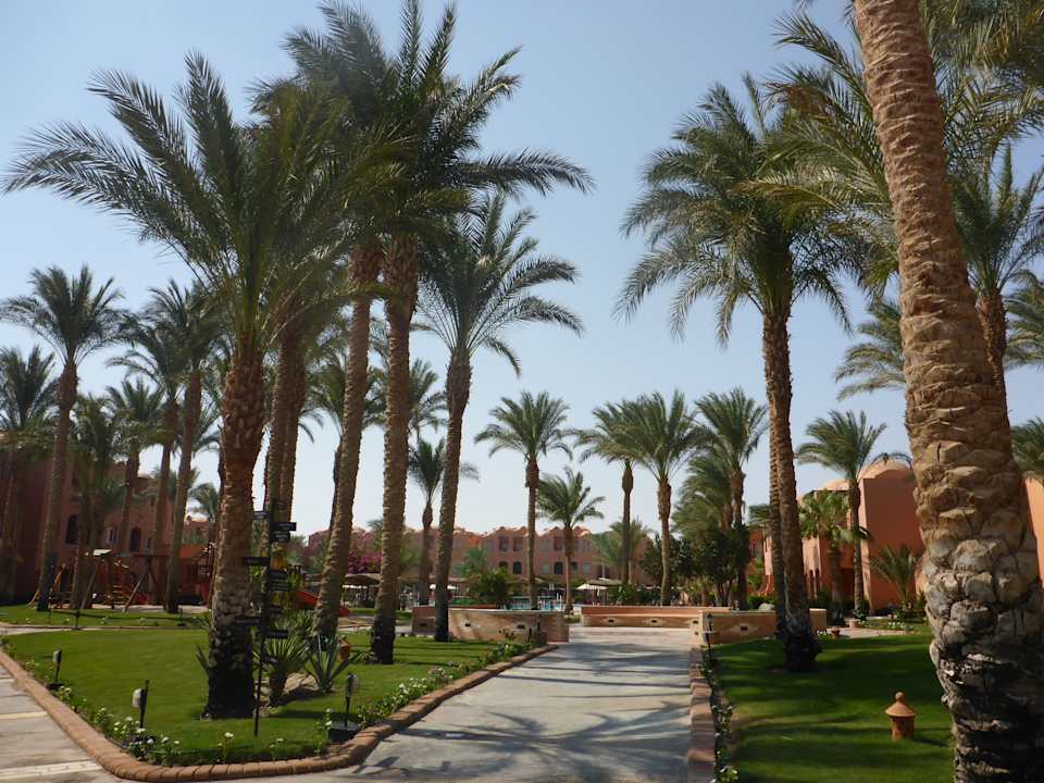 Gartenanlage Jaz Makadi Oasis Resort