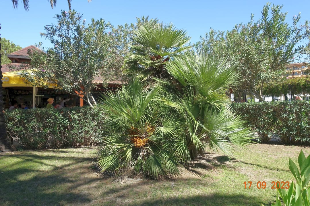 Gartenanlage Asteria Family Belek