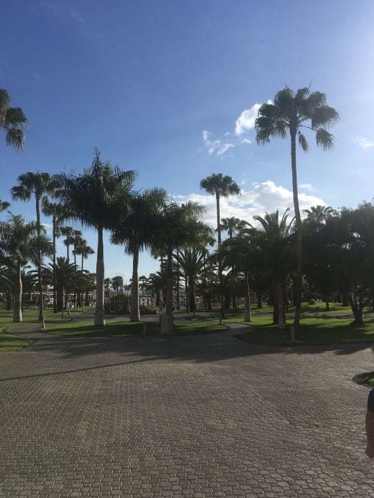 Gartenanlage Hotel Riu Gran Canaria