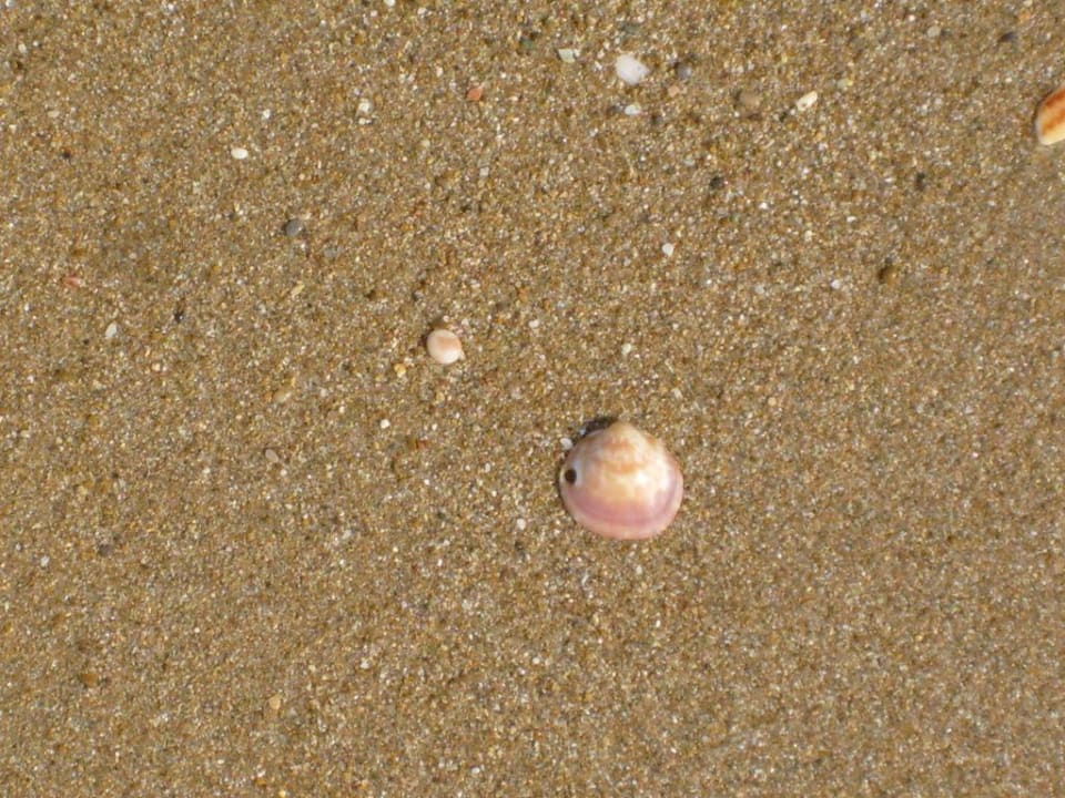 Schöner Sandstrand Hotel Orfeus Park