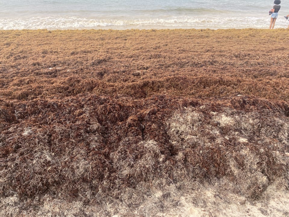 Strand Hotel Riu Palace Punta Cana