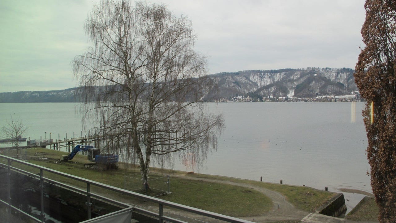 Ausblick zum Bodensee Seehotel Adler