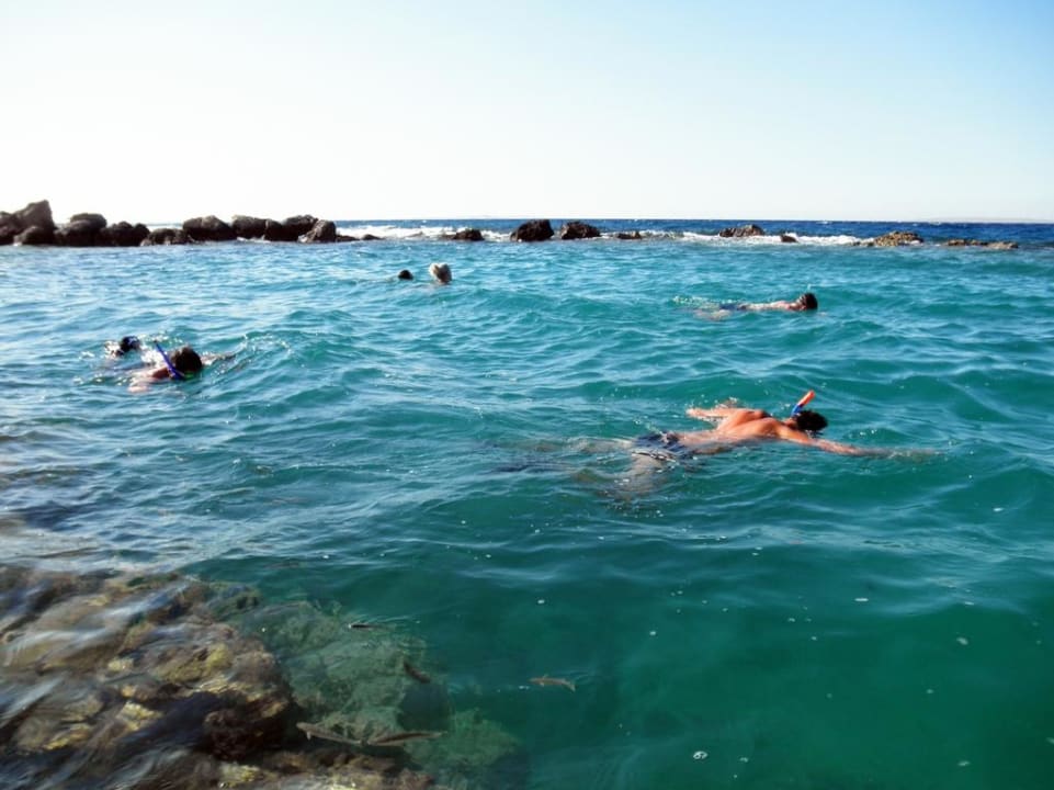 Королевская лагуна Pickalbatros Citadel Resort