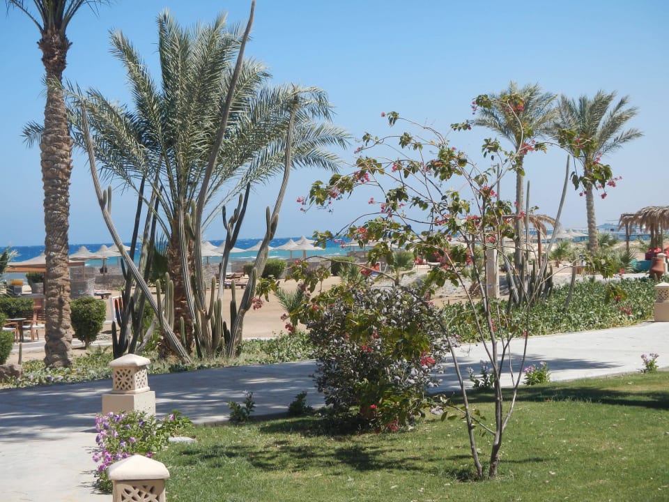 Gartenanlage  Shams Alam Beach Resort