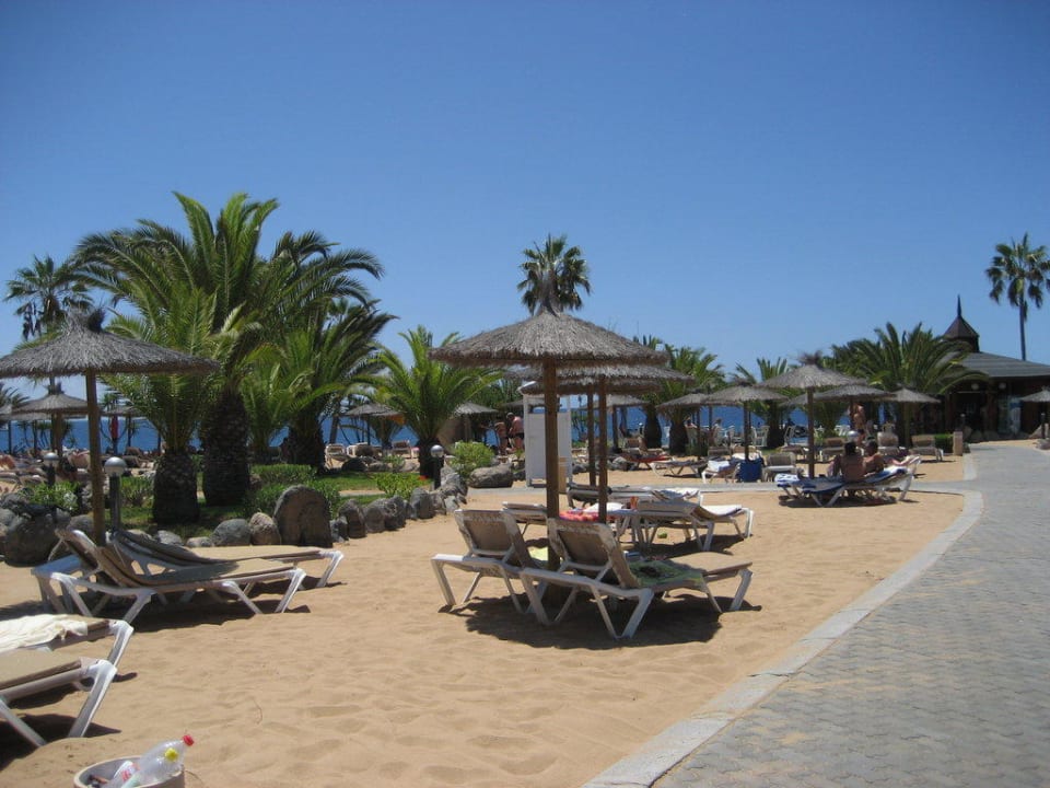 Hotel-Strand RIU Palace Hotel Riu Arecas - Adults only