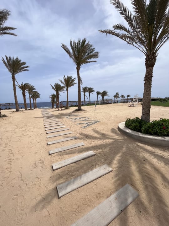 Strand Steigenberger Resort Alaya Marsa Alam - Red Sea - Adults only
