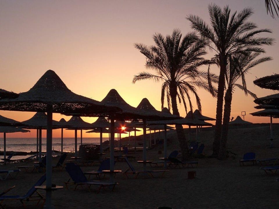 Sonnenaufgang Malikia Resort Abu Dabbab