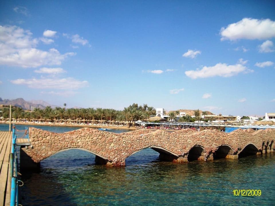 Am Hotel-Strand Albatros Sharm Resort