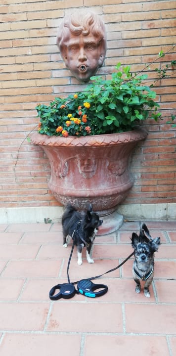 Sonstiges Villa Margherita