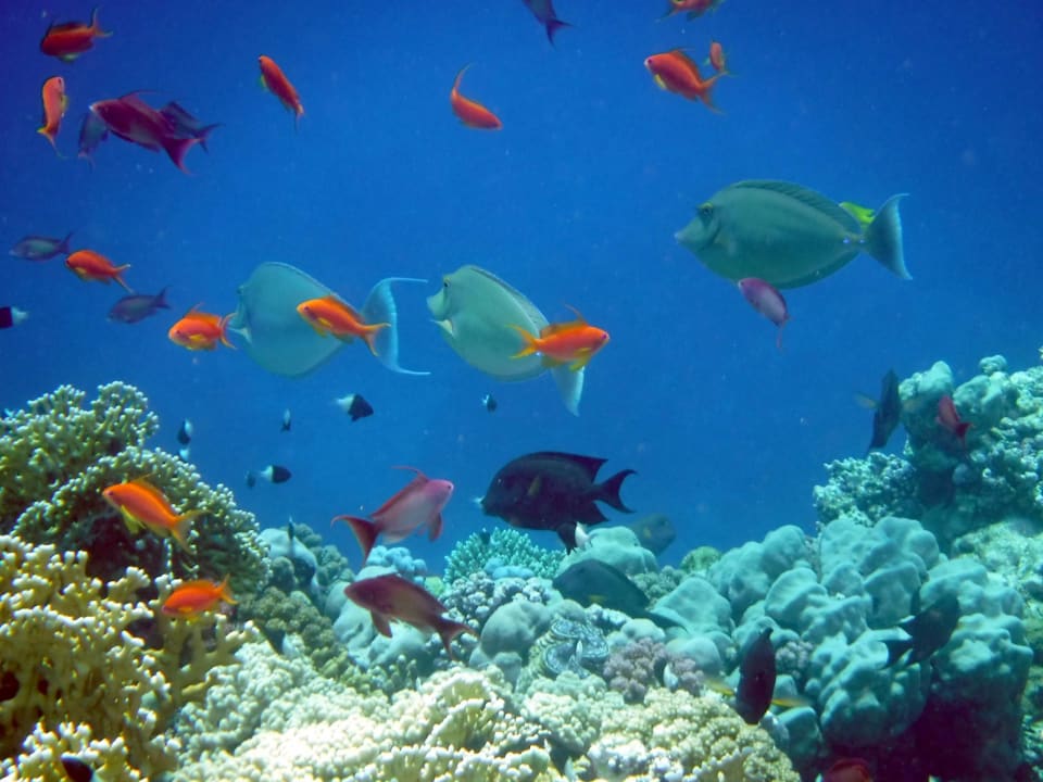 Sport & Freizeit Rohanou Beach Resort