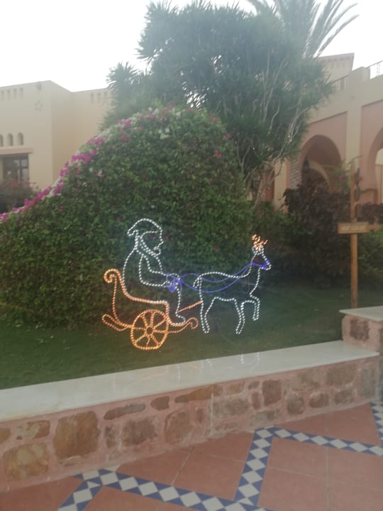 Gartenanlage Steigenberger Coraya Beach - Adults only