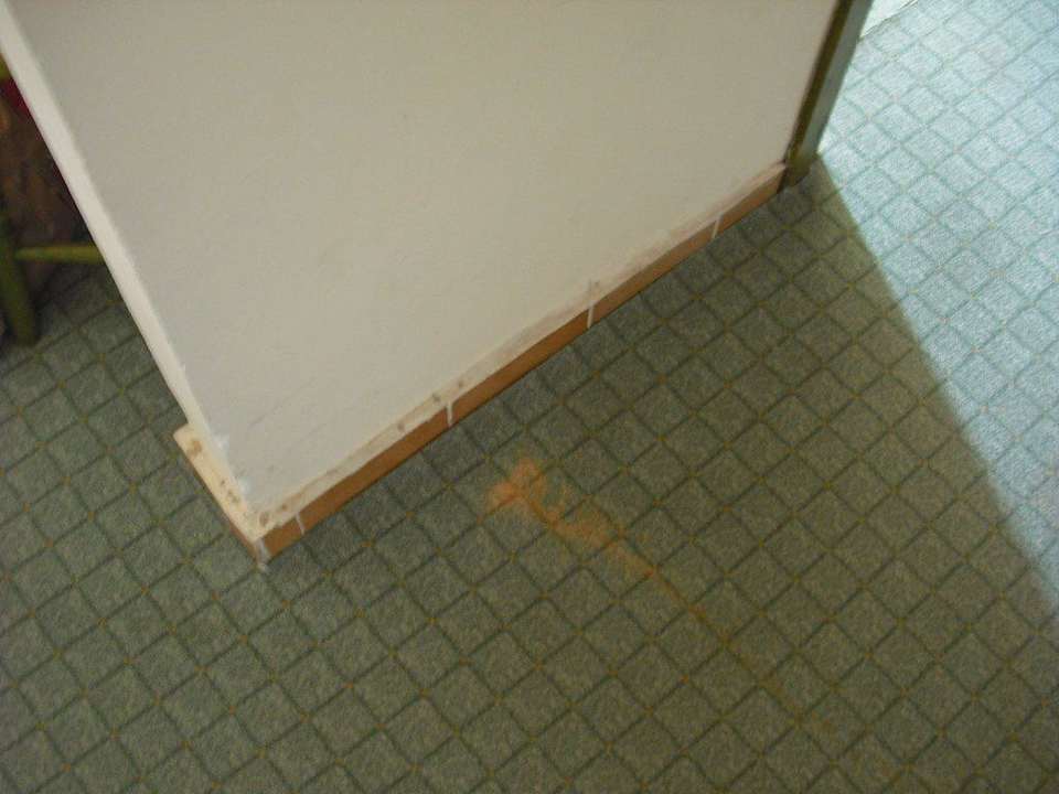 Sauberkeit Appartement Armas Gül Beach