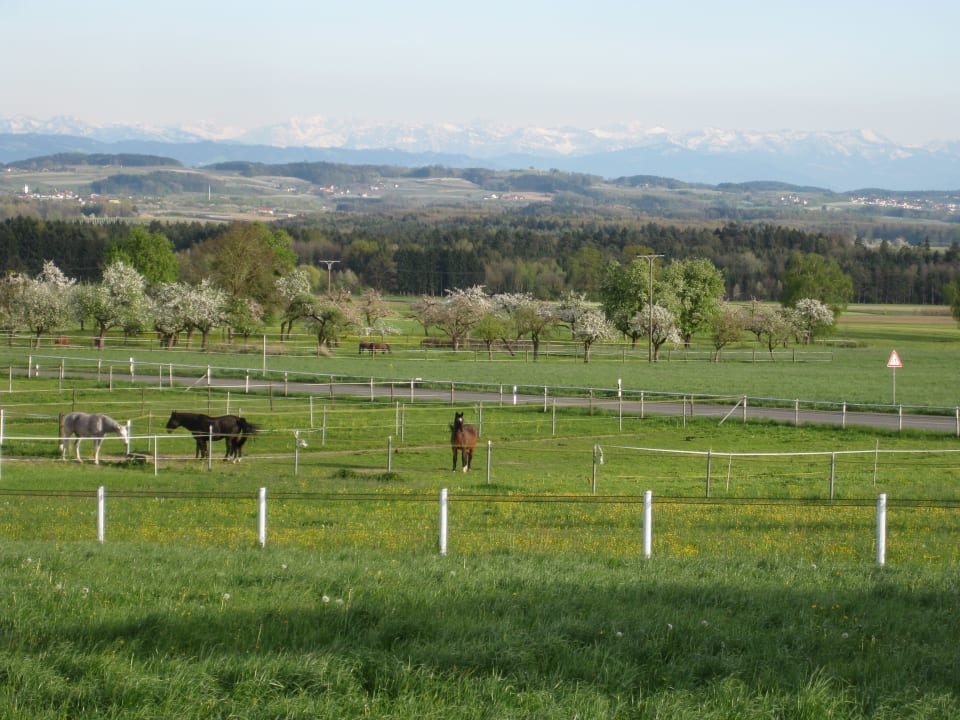 Außenansicht Ferienwohnung am Kronberg