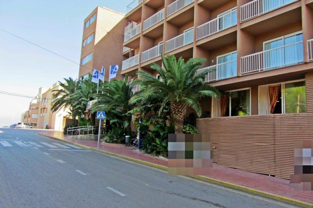 Eingang zwischen den Palmen Moon Dreams Coral Beach