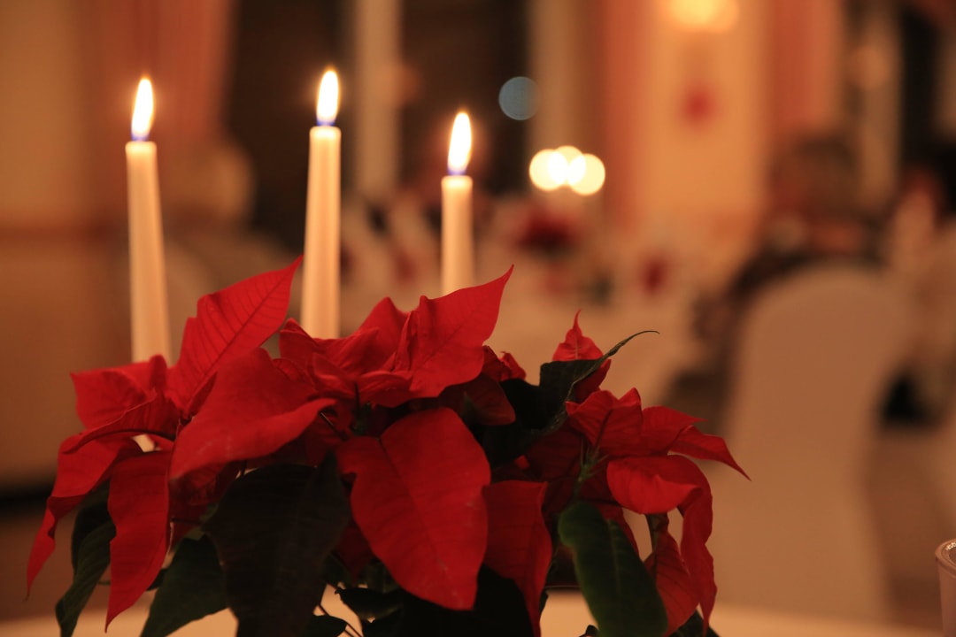 Nomen est omen... Landgasthof Zum Jossgrund