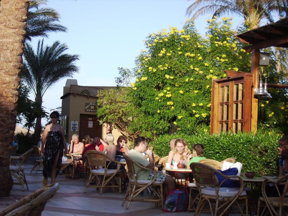 An der Poolbar Jaz Makadina