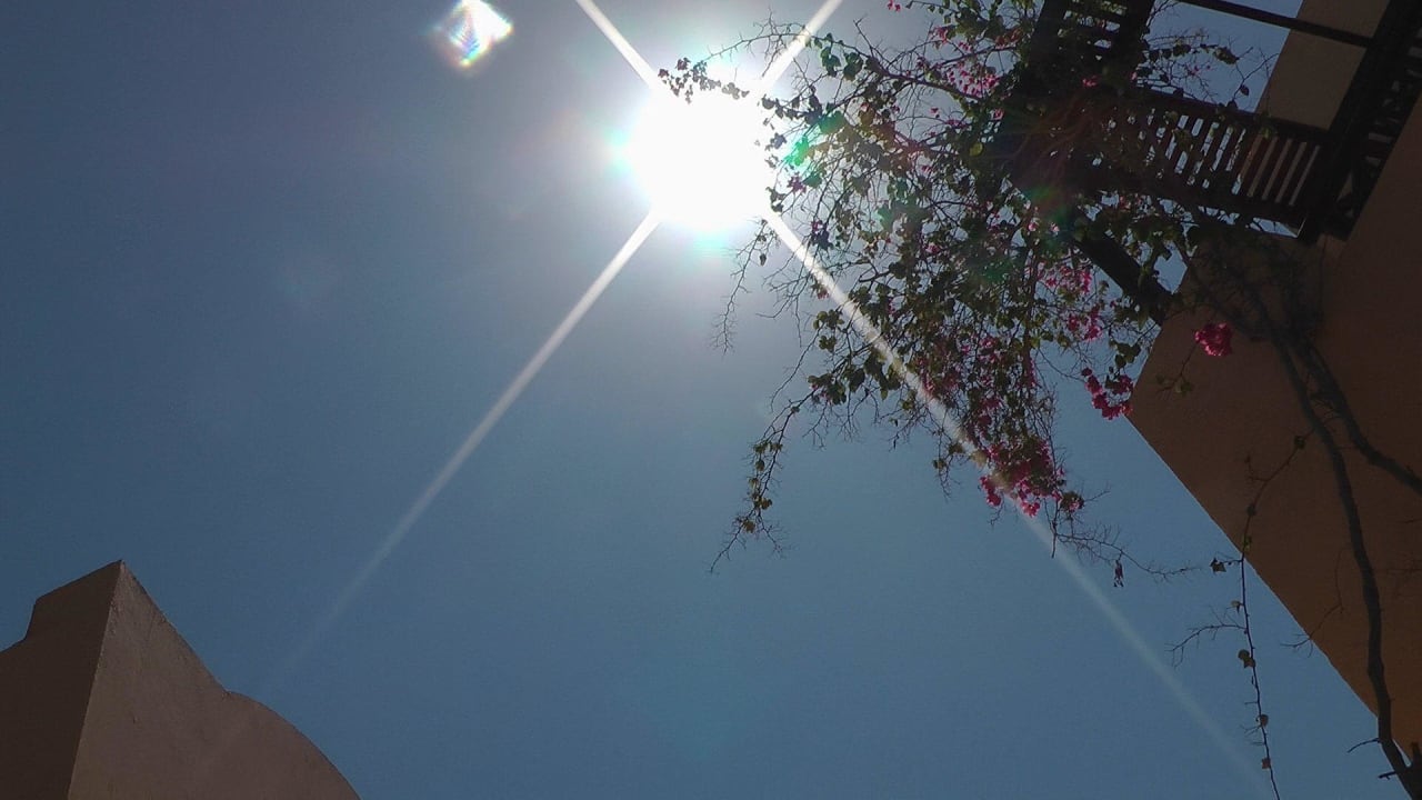 Bild Steigenberger Coraya Beach - Adults only