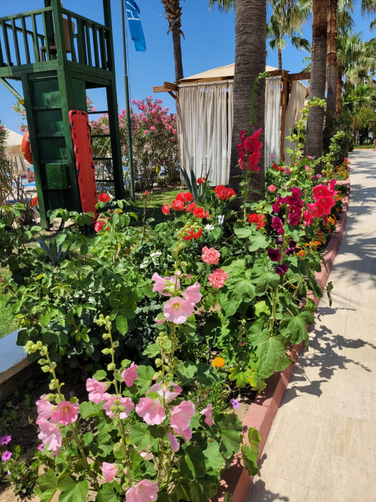 Gartenanlage Saphir Resort & Spa