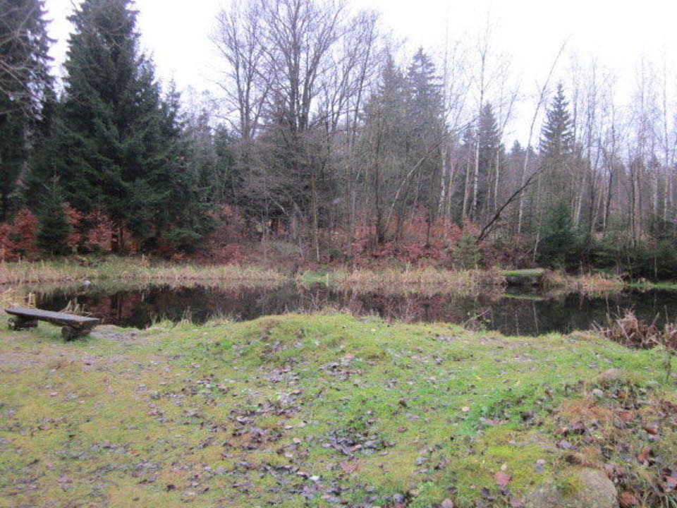 Leśniczówka Willa Anna Willa Anna