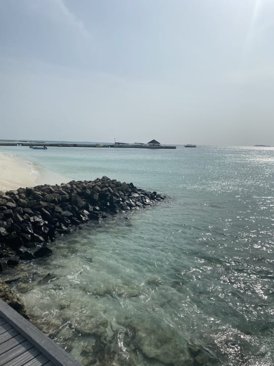 Strand Summer Island Maldives