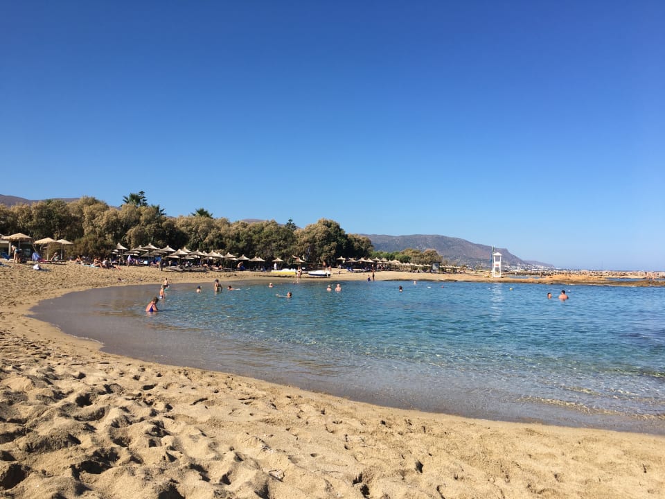 Strand allsun Hotel Carolina Mare