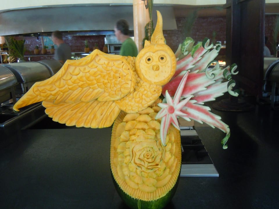 Kürbiseule Grand Palladium Punta Cana Resort & Spa