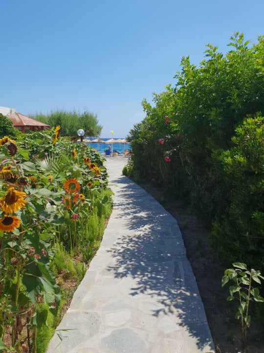 Außenansicht Hotel South Coast