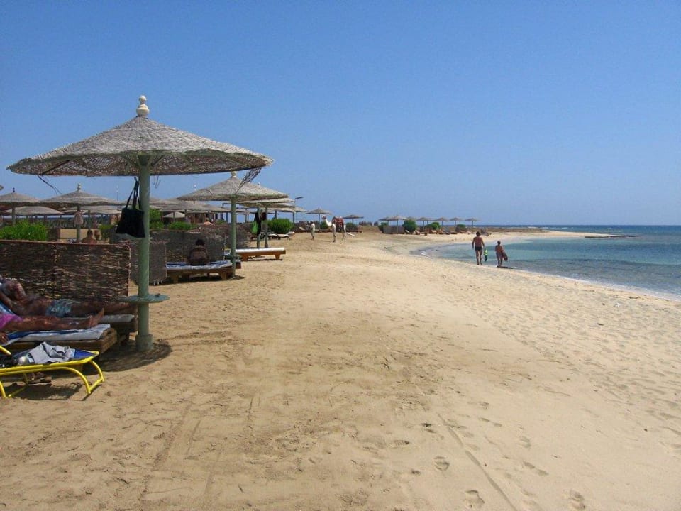Ein herrlicher Sandstrand Shams Alam Beach Resort