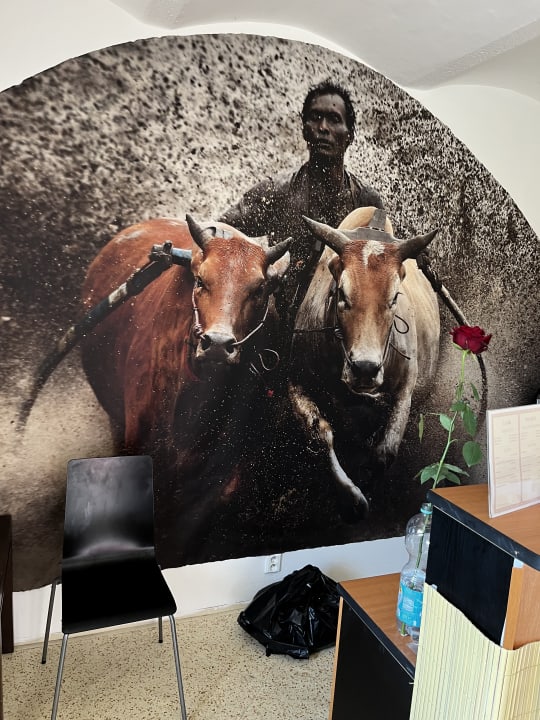 Lobby Teepee Camp Lounky